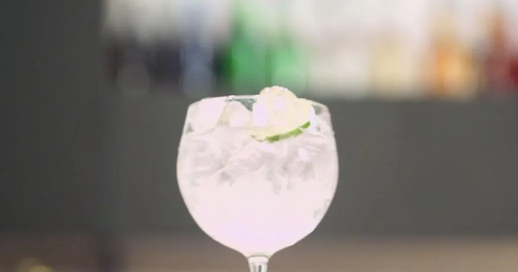 Gin Tonic – Cocktail House – Ventinovesima Puntata