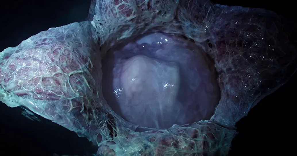Alien: Covenant, il primo spaventoso trailer è online