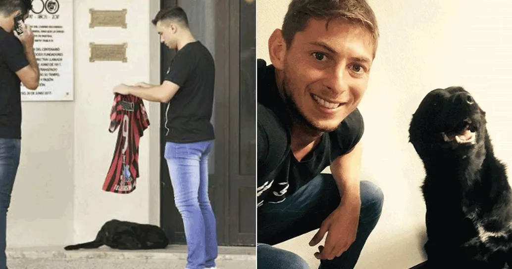 Si accuccia davanti alla camera ardente, il cane di Emiliano Sala ha commosso tutti