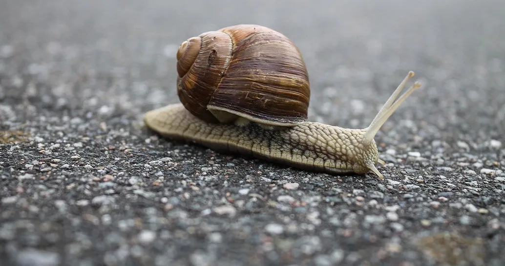 Cinque minuti di lentezza al giorno possono fare la differenza, ecco perchè
