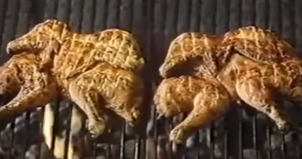I bellissimi spot degli anni ’80: il Galletto Vallespluga!