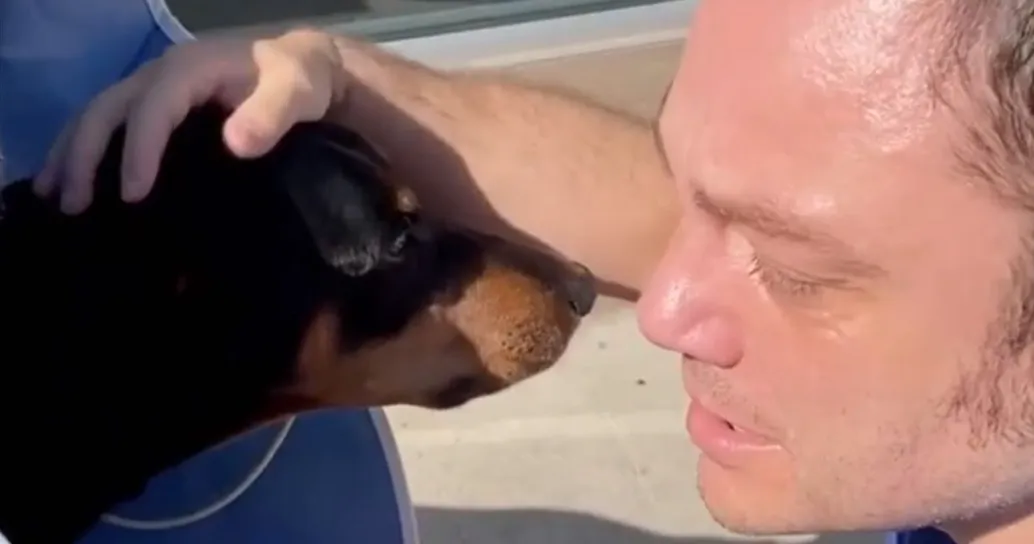 Operato d’urgenza il cane di Tiziano Ferro: le sue lacrime sono simbolo di amore vero