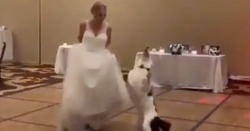 Il cane entra in pista con la sposa e fa il primo ballo con lei: il video diventa virale