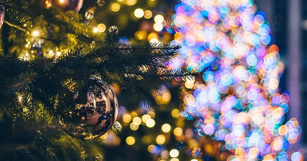 Sesto Fiorentino: ecco come funziona l’idea dell’albero di Natale con le luci a gettoni