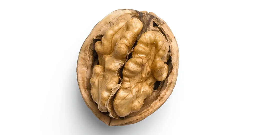 Uno studio lo conferma: le noci sono le migliori alleate contro lo stress