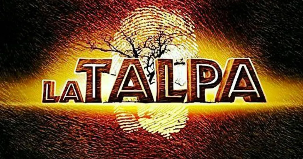 “La Talpa” 2025: quando inizia, i concorrenti, la conduzione e alcune curiosità