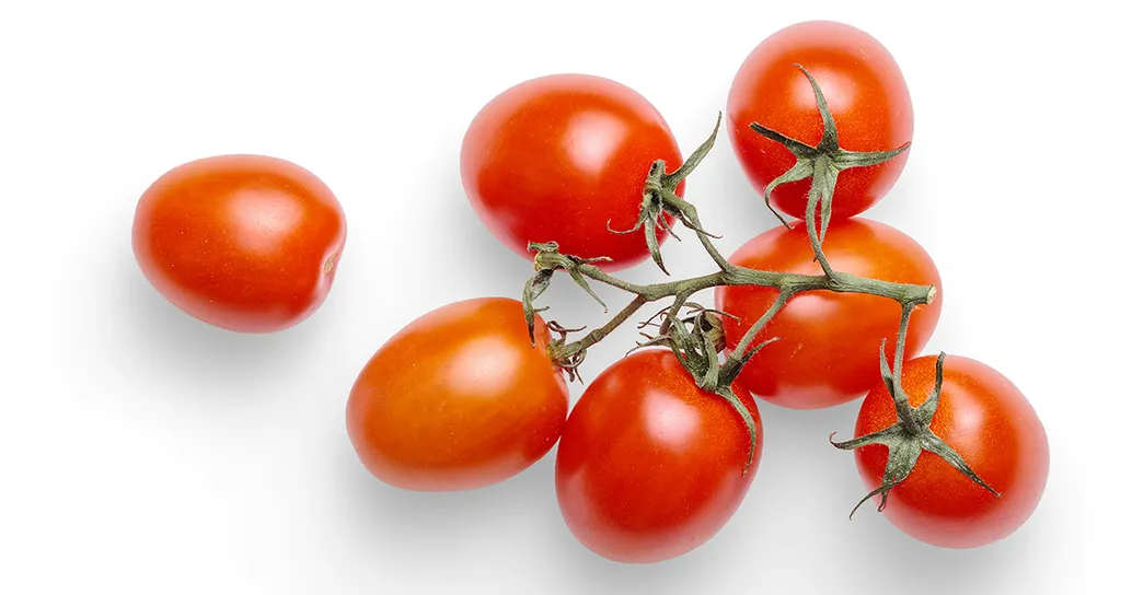 Il pomodoro siciliano che sfida la siccità: il siccagno cresce senza utilizzare l’acqua