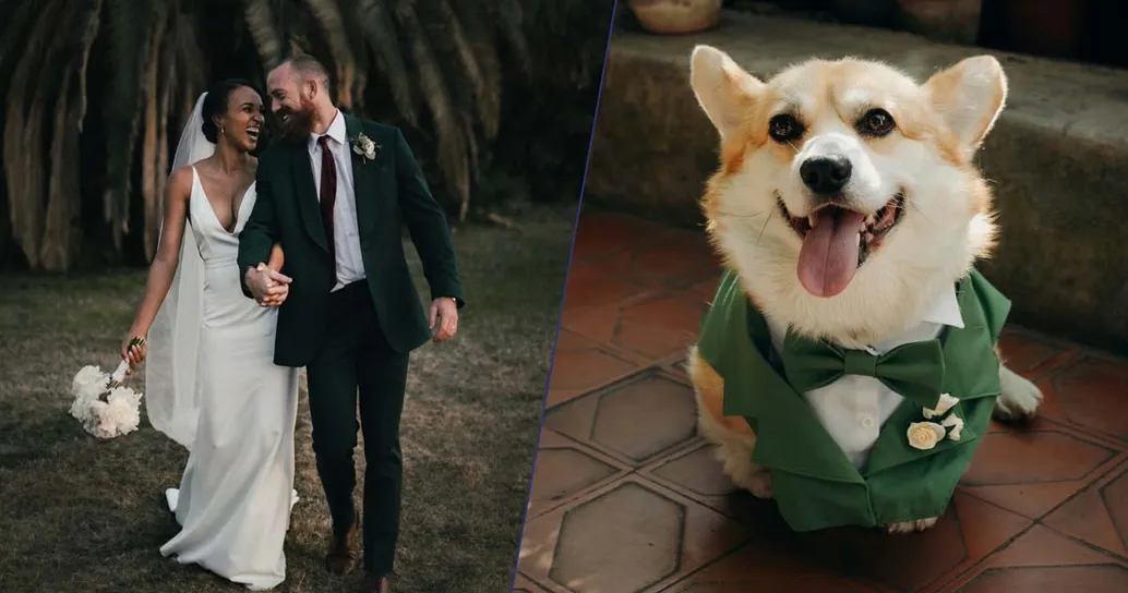 Negli Stati Uniti il tuo animale domestico può essere testimone del tuo matrimonio