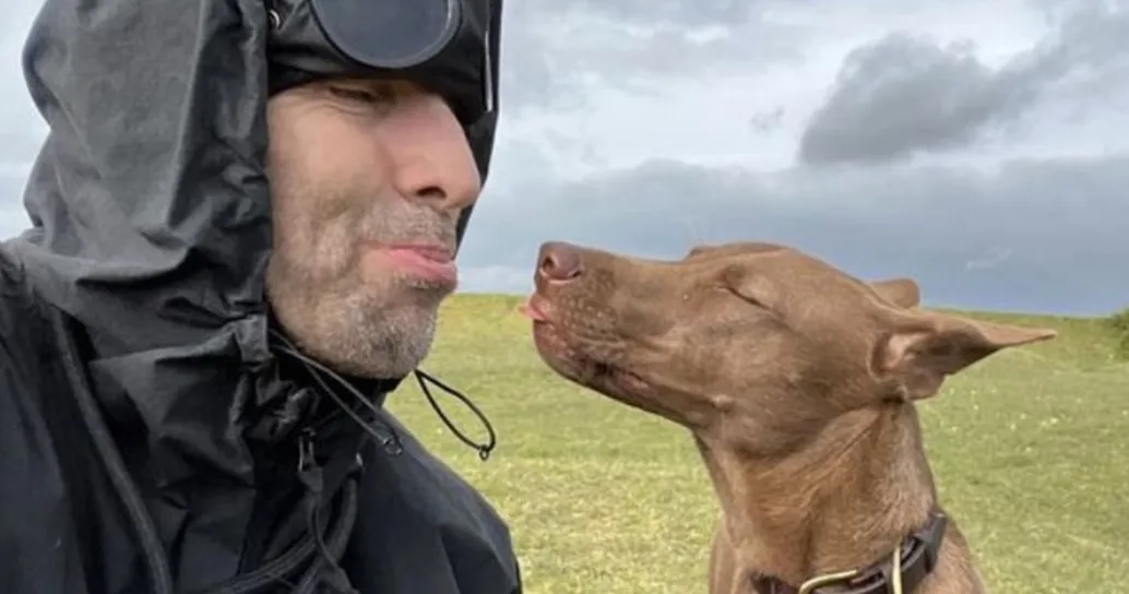Liam Gallagher premiato da PETA: l’emozionante storia di Buttons, il cane abbandonato che ha cambiato la sua vita