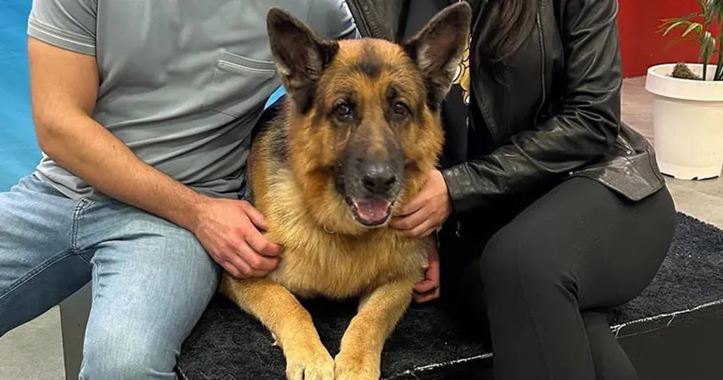 Addio a Rex, l’ultimo cane della serie tv: era discendente del primo commissario