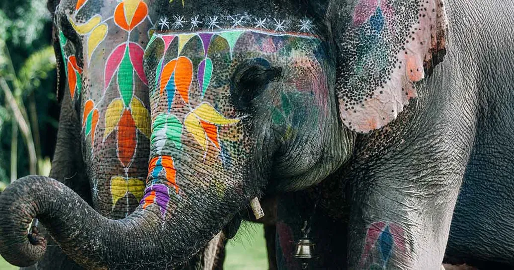 Addio agli animali nei circhi? Lo stato di Washington dice di sì