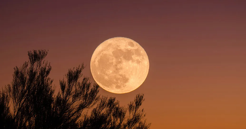 La Luna ci regala uno spettacolo speciale: segna questa data da non perdere