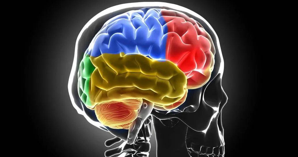 Sistema di ‘lavaggio’ in tilt, ecco cosa succede al cervello senza sonno