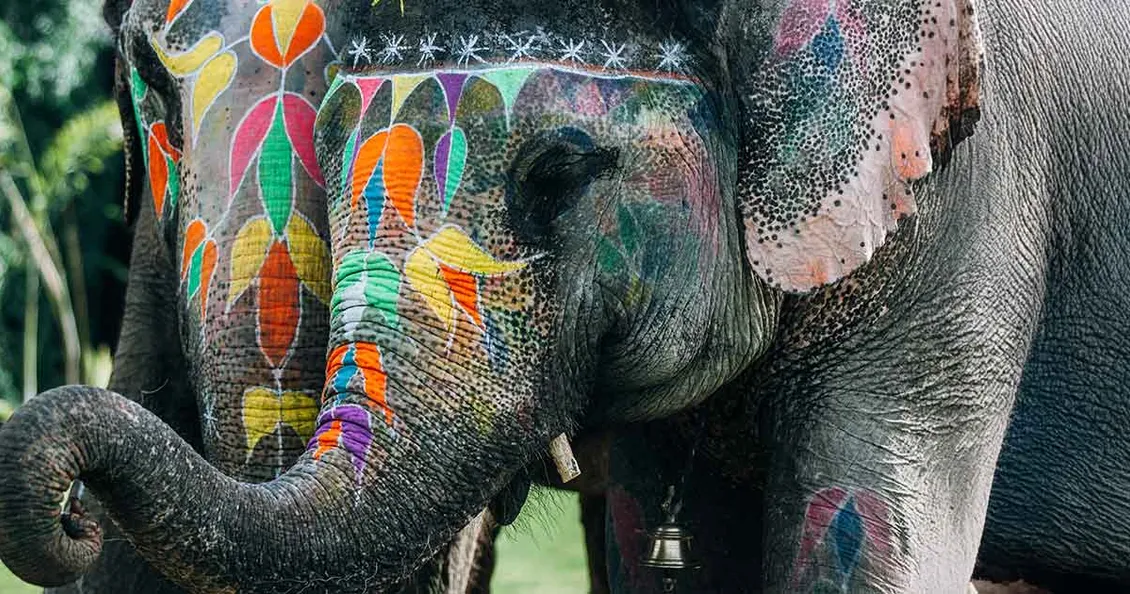 Addio agli animali nei circhi? Lo stato di Washington dice di sì