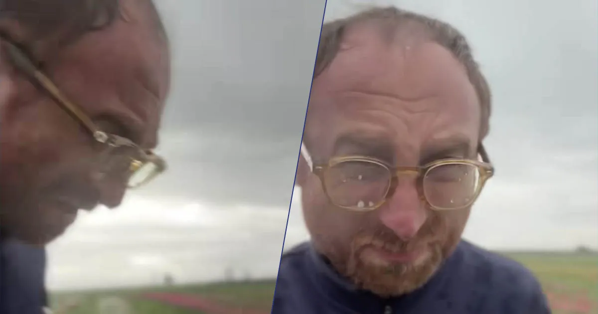 La grandine distrugge il campo di tulipani il video in lacrime del proprietario fa il giro del web