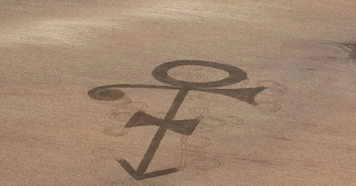 Il logo di Prince rivive nel grano  l8217omaggio di un 75enne