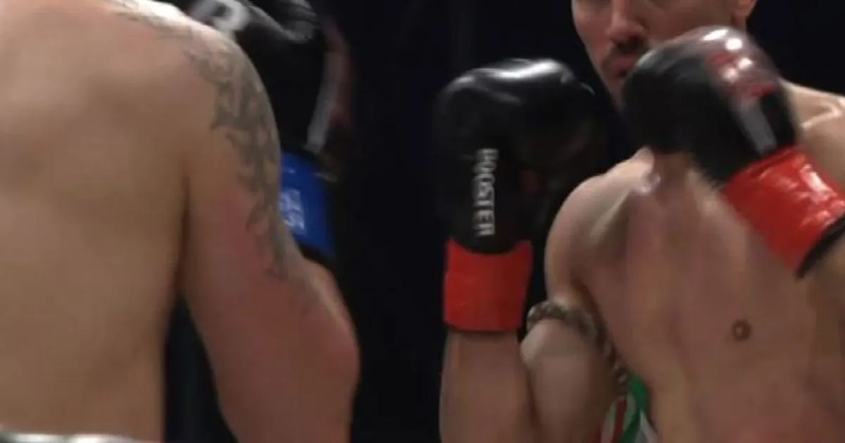 Arti marziali miste MMA sempre pi popolari anche in Italia