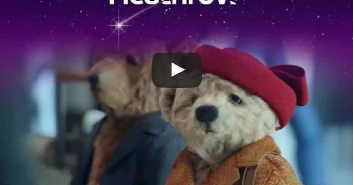 Due orsetti sono i protagonisti dell8217emozionante spot di Natale di Heathrow
