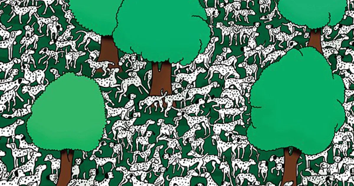 L8217indovinello del dalmata senza macchie trova l8217intruso