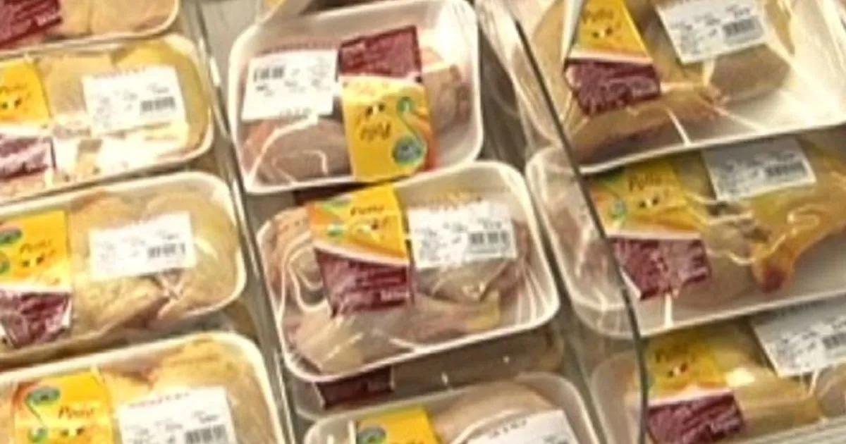 Olanda si allarga caso uova contaminate test su carne di pollo