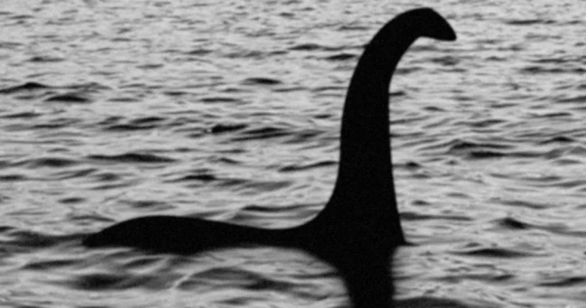Caccia al mostro di Loch Ness le nuove ricerche e spunta una foto molto particolare 
