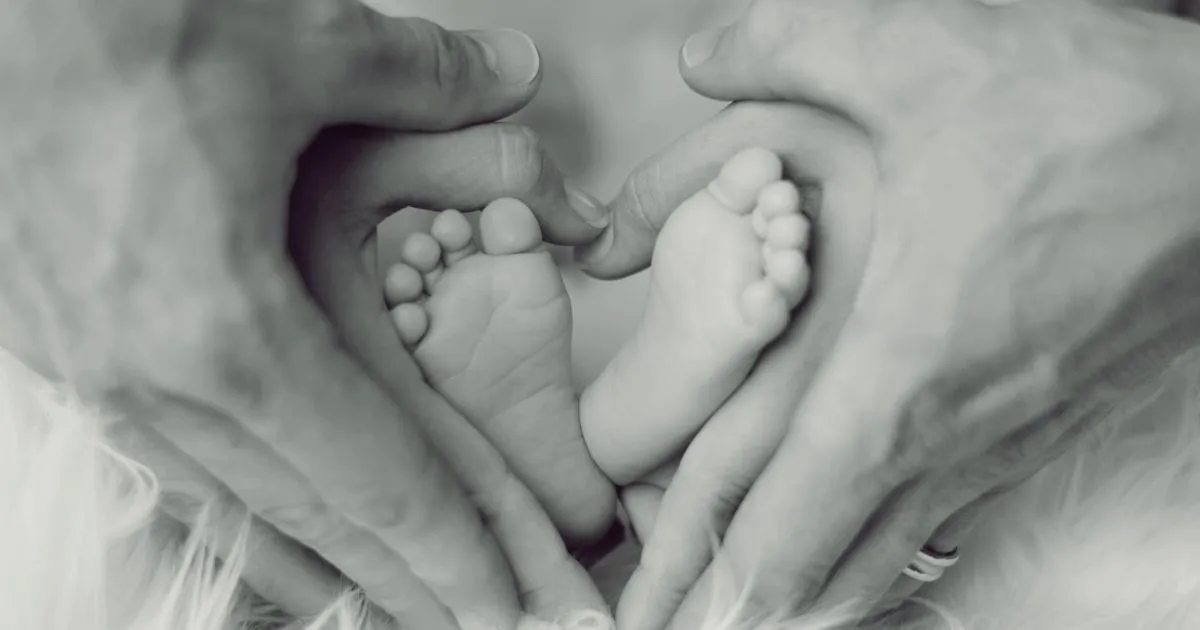 8216Parlano8217 gli spermatozoi ecco quando concepire i figli