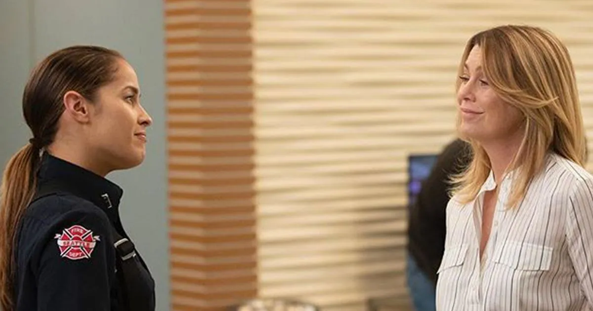 Grey8217s Anatomy i personaggi di Station 19 insieme in una puntata