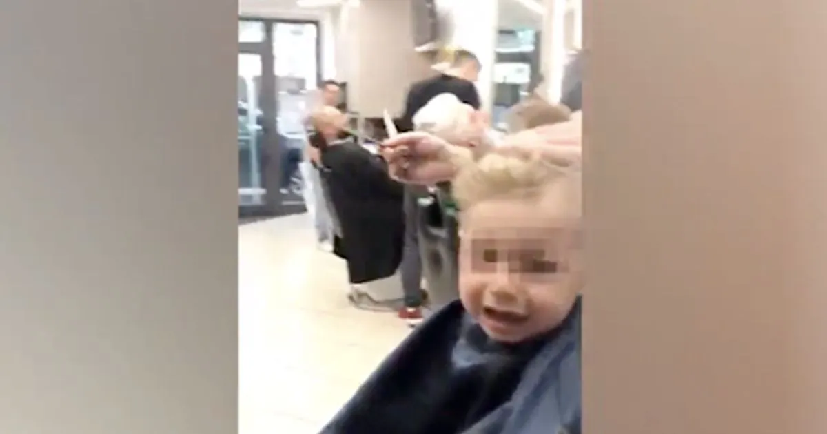 Il bimbo piange per i capelli i parrucchieri gli cantano 8220I due liocorni8221 e tutto passa