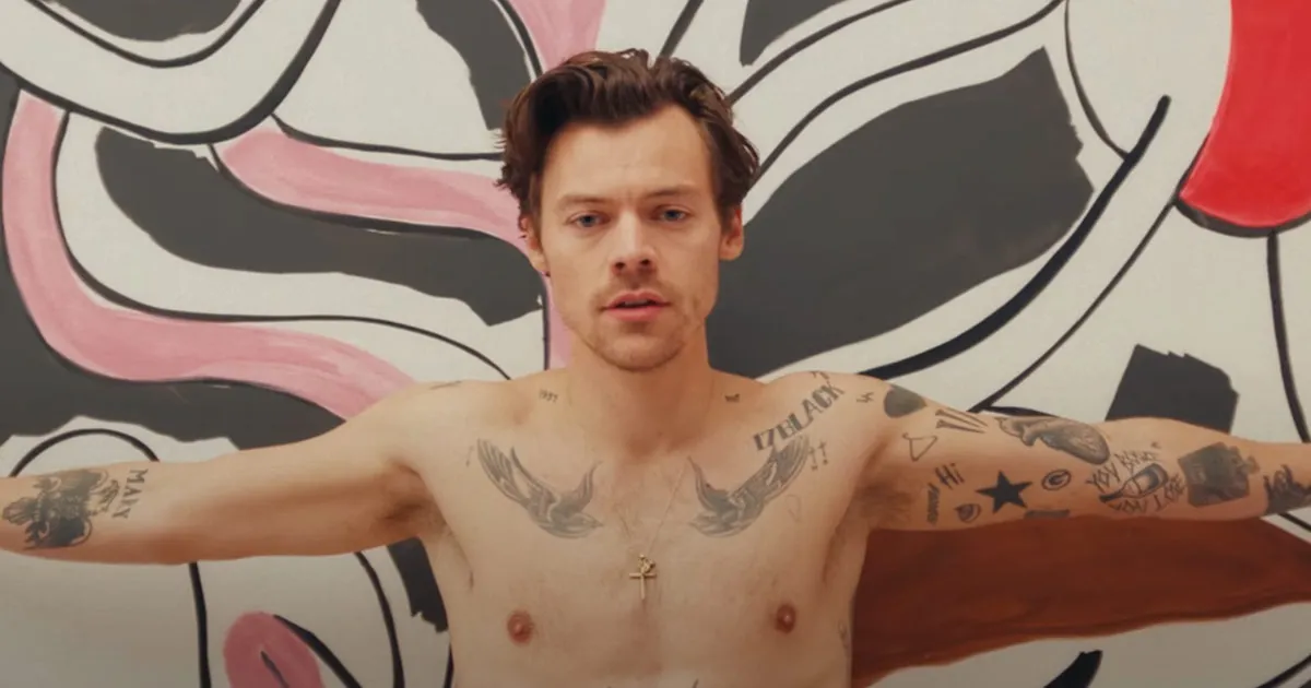 Harry Styles complice di una proposta di matrimonio al suo concerto guarda il video