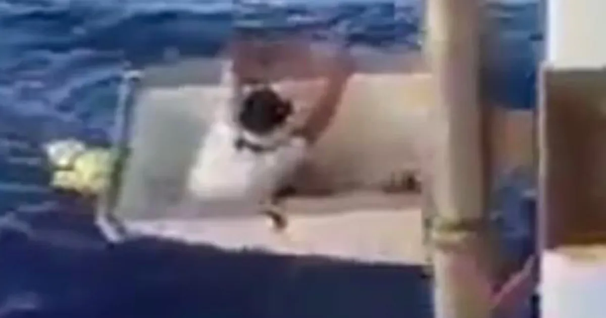 La barca affonda sopravvive per 11 giorni dentro un freezer che va alla deriva