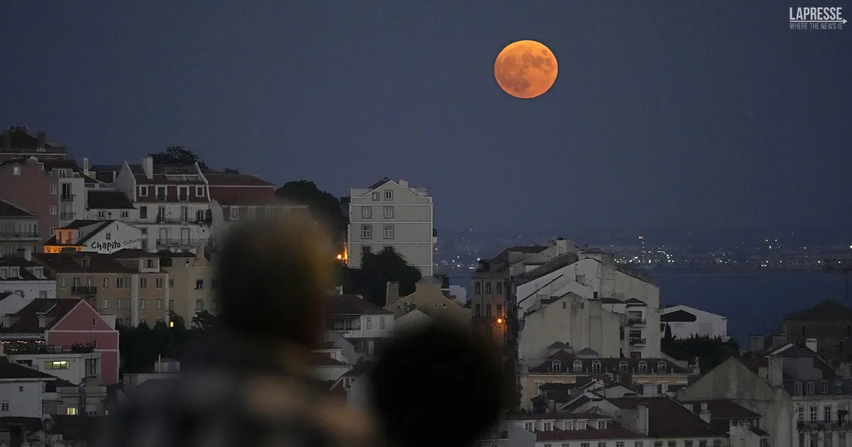 Stelle cadenti e il bacio tra la Luna e Saturno ecco quando vedere il romantico spettacolo nei nostri cieli