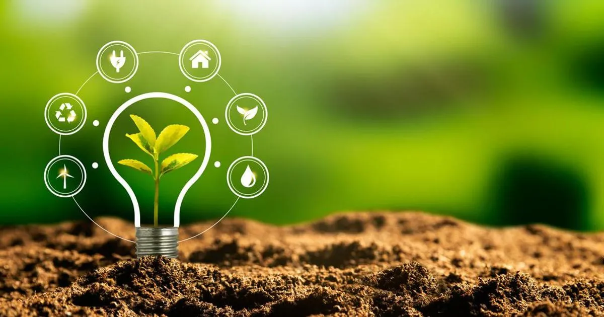 Innovazione sostenibile i finalisti del premio europeo giovani inventori