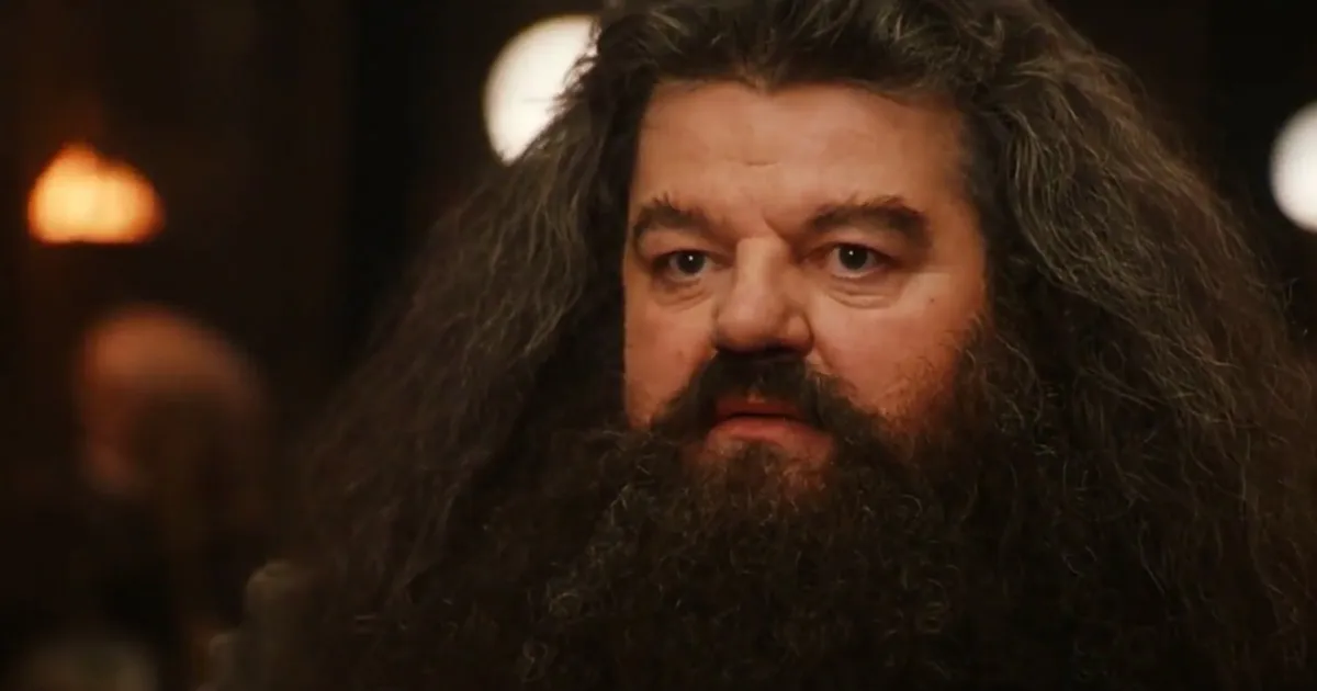Harry Potter ecco perch non abbiamo visto Robin Williams nei panni di Hagrid