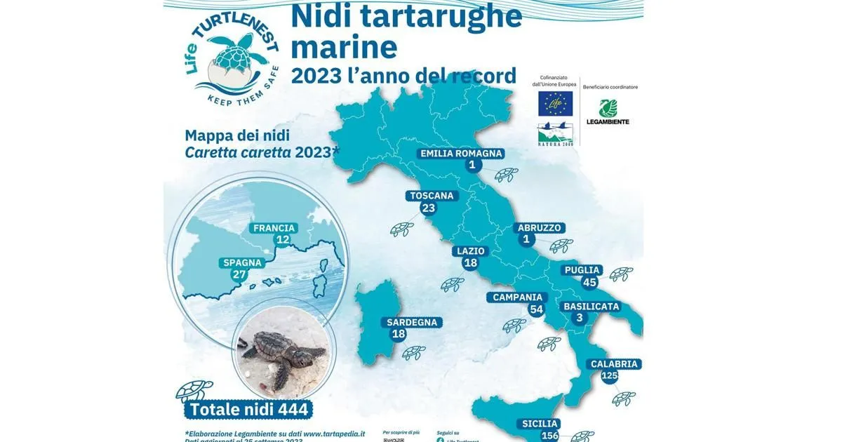 Boom di nidi di tartaruga marina in Italia 2023 anno record