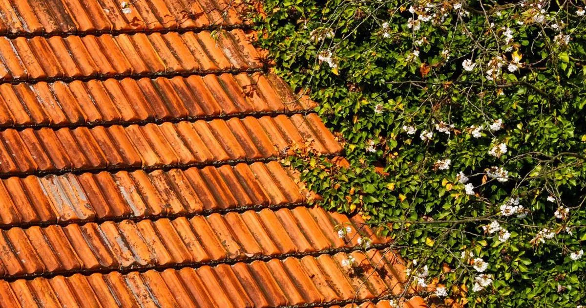 Bioedilizia isolamento termico la proposta green da una start up pugliese