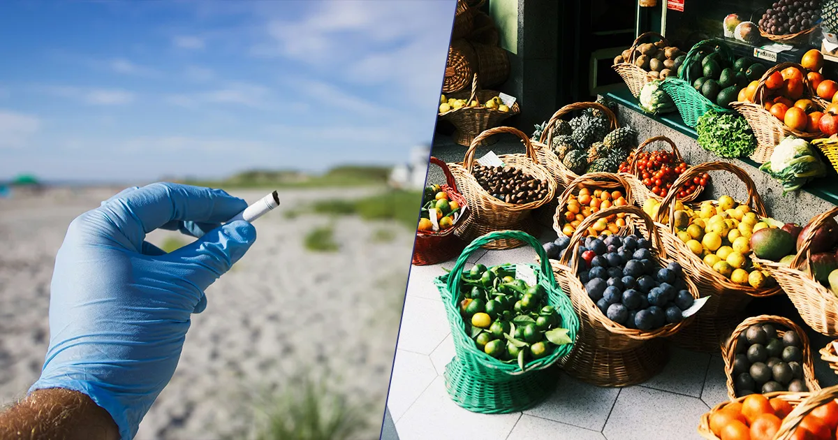 Mozziconi di sigaretta in cambio di frutta fresca la bella iniziativa in provincia di Ravenna