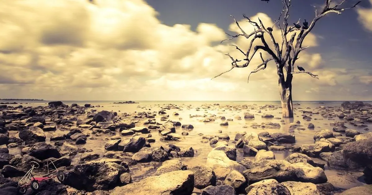 Italiani e crisi climatica percezione rischi e responsabilit