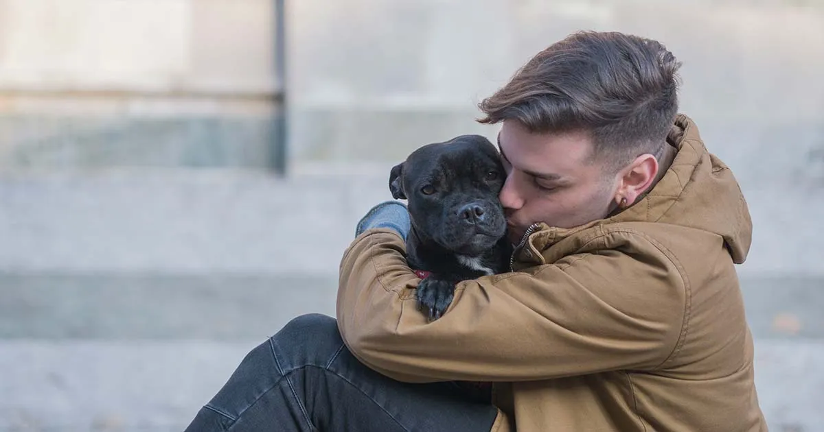 Le ceneri di cani e gatti sepolte con i proprietari a Milano un nuovo gesto damore che lega per sempre