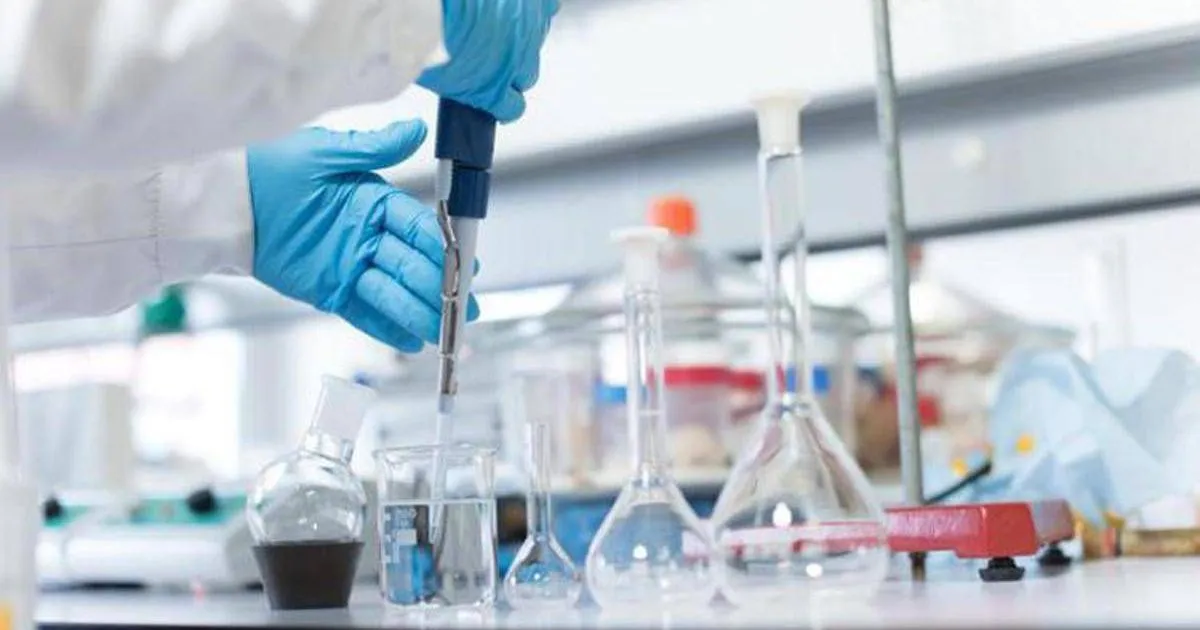 Cancro polmone svelato il segreto di una risposta duratura all8217immunoterapia