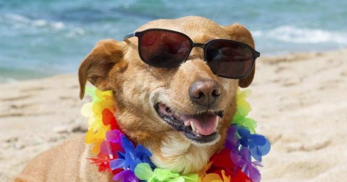 In vacanza con loro!