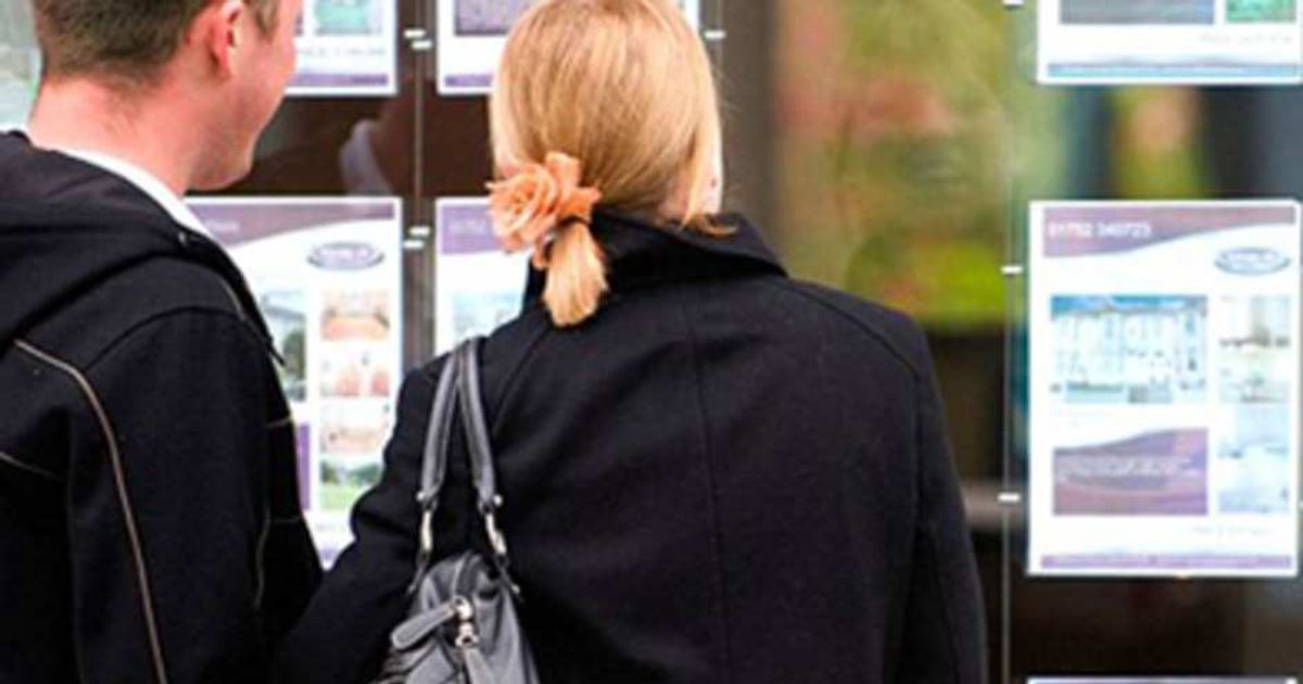 Basta! Cambio casa…