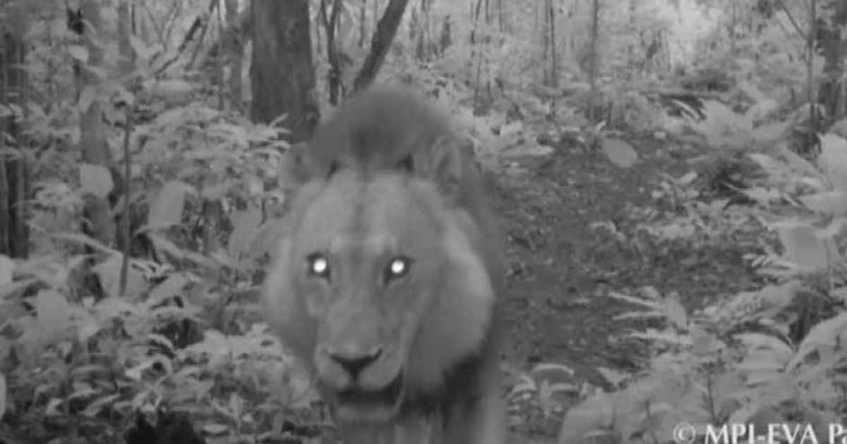 Video News 01/04/2015