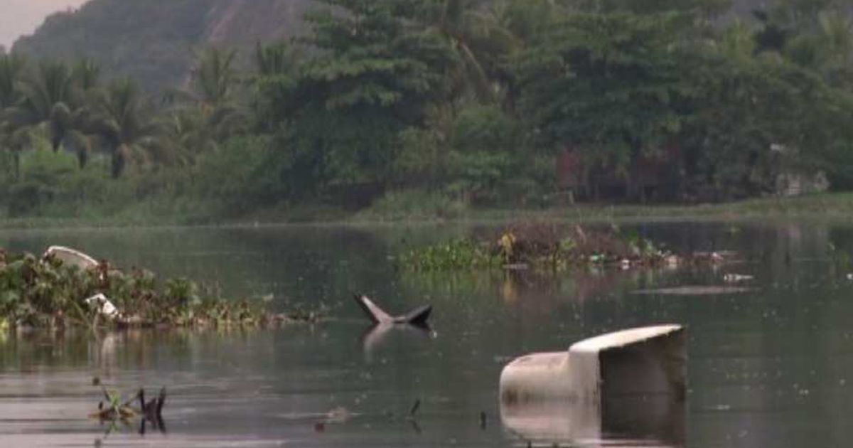 Video News 04/04/2015