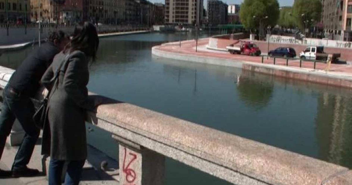 Video News 07/04/2015