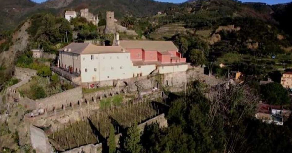 Video News 13/04/2015