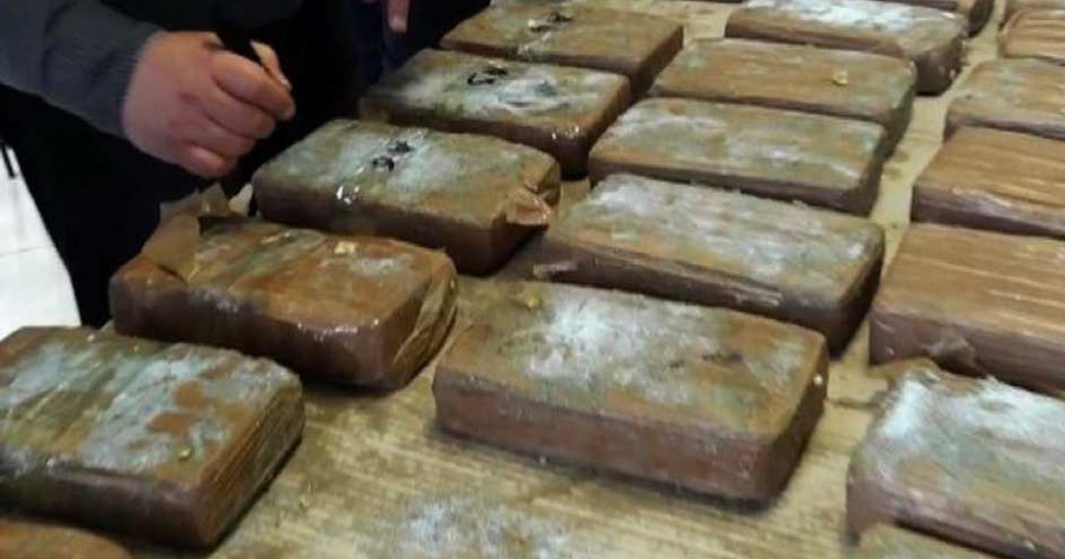 Video News 17/04/2015