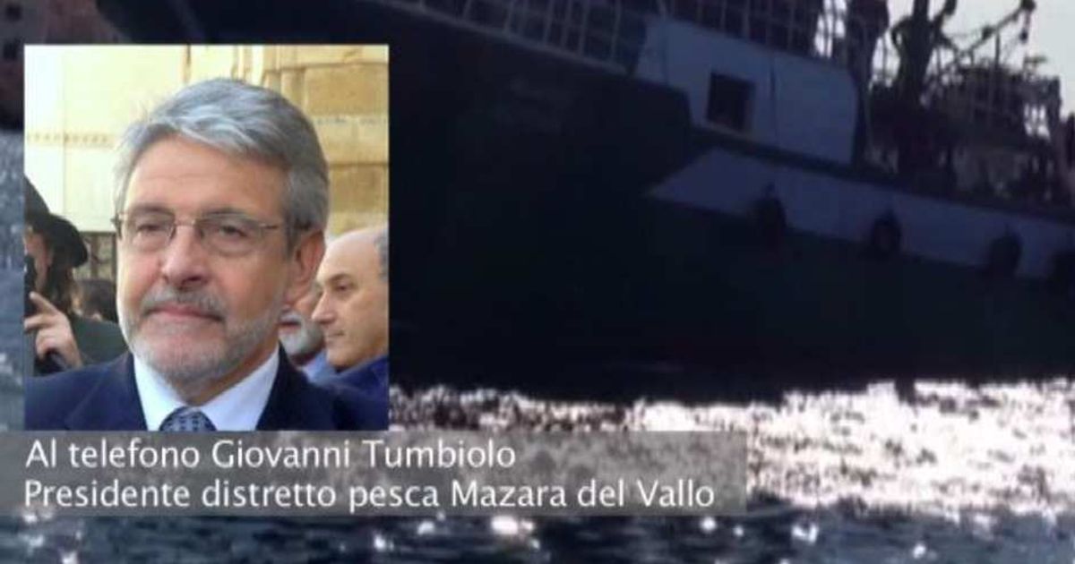 Video News 17/04/2015