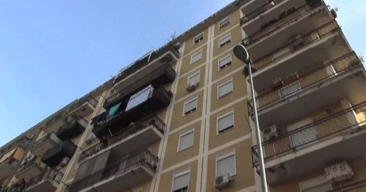 Video News 23/04/2015