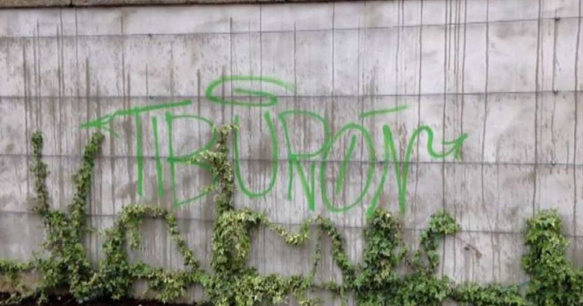 Video News 27/04/2015