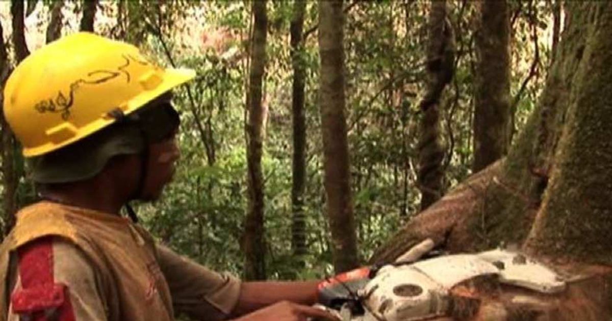 Video News 28/04/2015